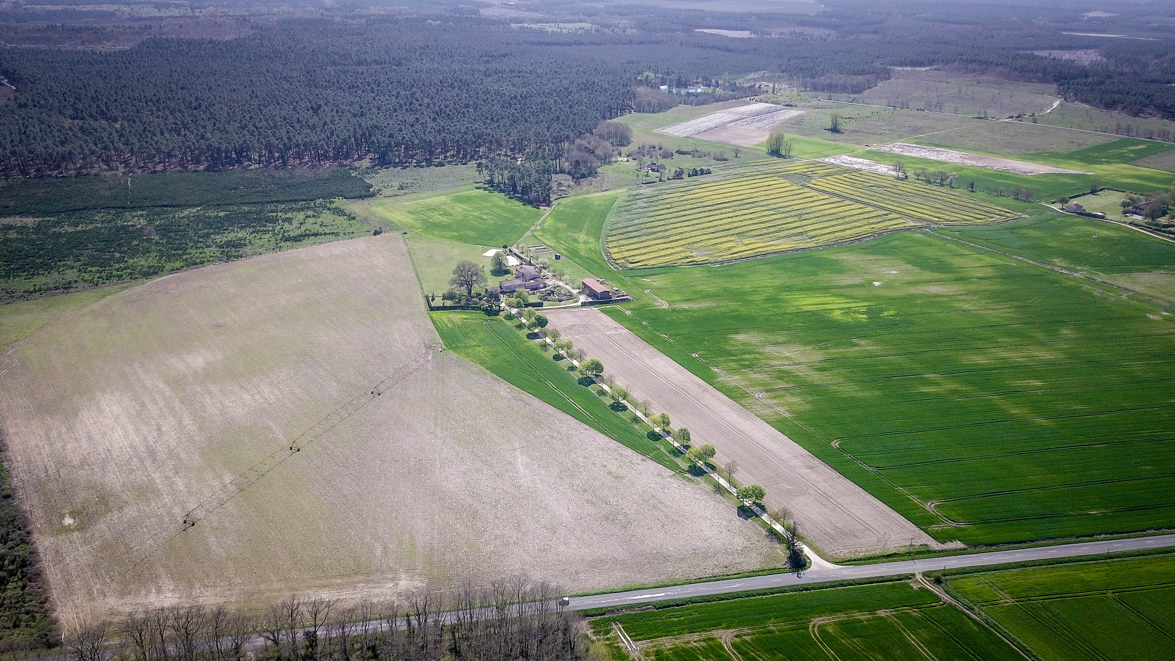 La Rouméguère et la forêt des Landes