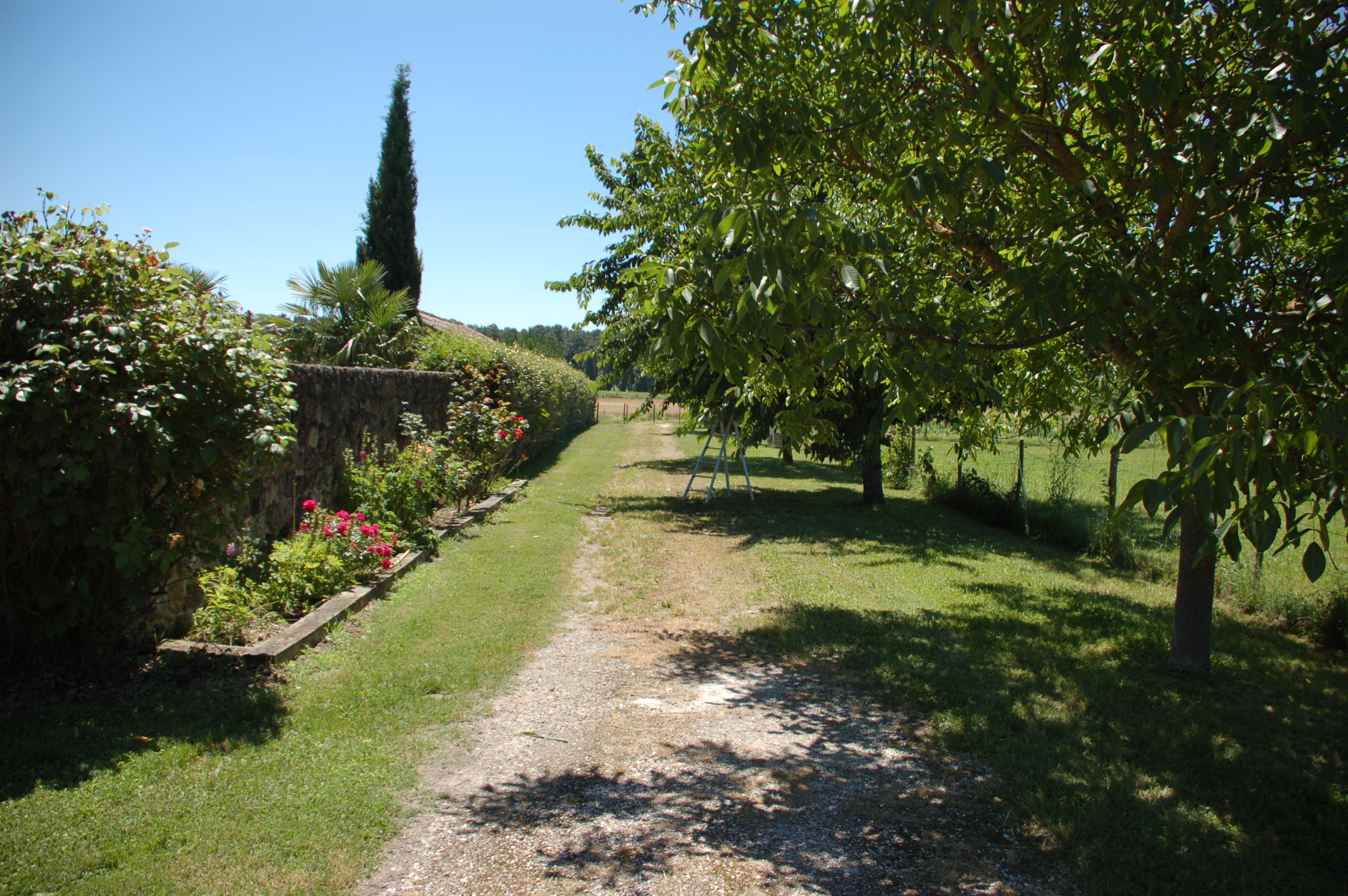 La Rouméguère — photo 29