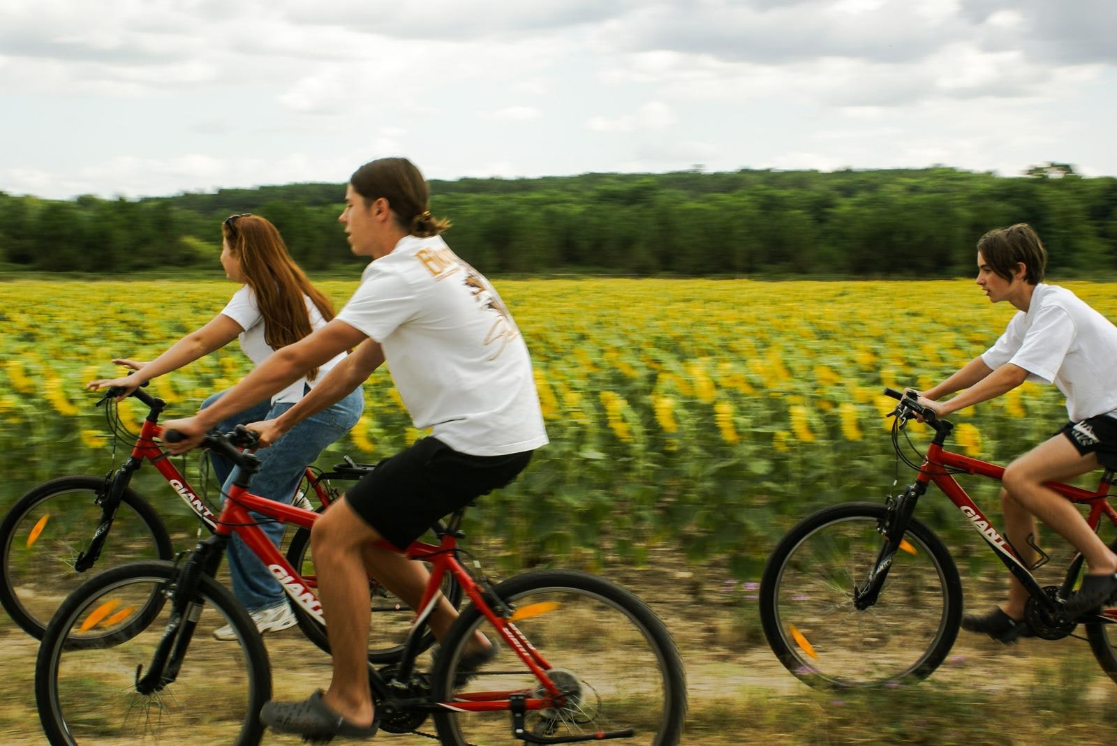 Une balade à vélo près des champs de tournesols