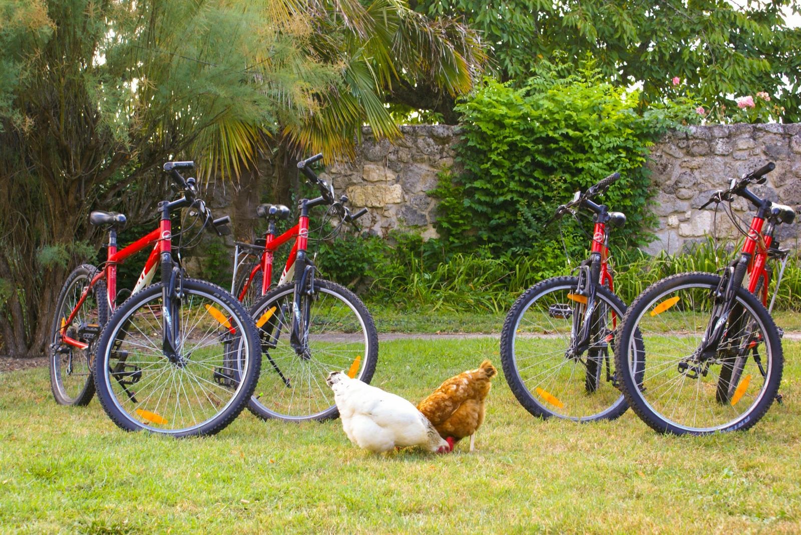 Les quatre VTT à disposition